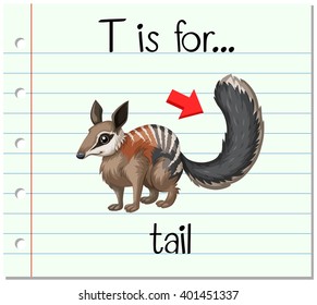 Flashcard letter T is for tail