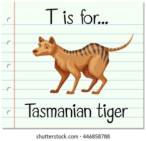 Flashcard letter T is for tasmanian tiger illustration