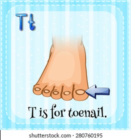 Flashcard letter T is for toenail