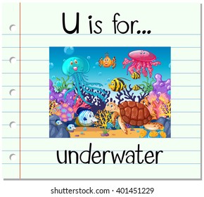 Flashcard letter U is for underwater