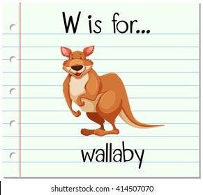 Flashcard letter W is for wallaby illustration