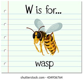 Flashcard letter W is for wasp illustration