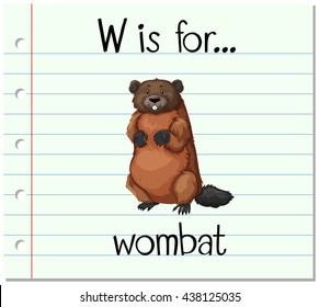 Flashcard letter W is for wombat illustration