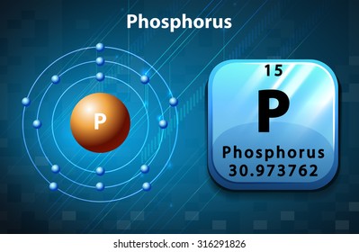 Flashcard Of Phosphorus Atom Illustration