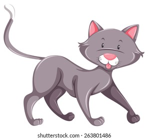 Flashcard of a standing grey cat