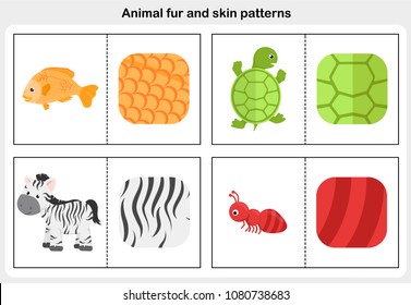 Flashcards animal fur and skin pattern. Worksheet for education.