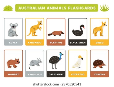 Flashcards for kids with cute Australian animals. Educational cards.