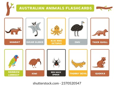 Flashcards for kids with cute Australian animals. Educational cards.