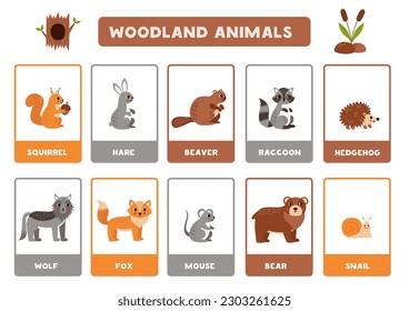 Flashcards for kids with cute cartoon woodland animals. Educational cards.