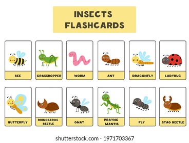 Flashcards for kids with cute insects. Vector illustration of insects.