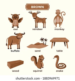 Flashcards For Learning Brown Color And Vocabulary Set