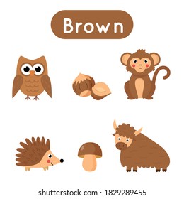 Flashcards for learning colors. Brown color. Educational worksheet for preschool kids. Set of pictures in brown color.