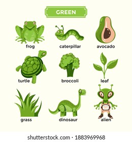 Flashcards For Learning Green Color And Vocabulary Set