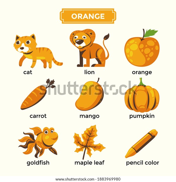 Flashcards Learning Orange Color Vocabulary Set Stock Vector (Royalty ...