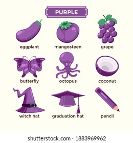 Flashcards For Learning Purple Color And Vocabulary Set