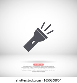 Flashlight vector icon , lorem ipsum Flat design