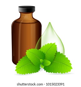 Flask of Peppermint oil. Peppermint leaves. Vector illustration