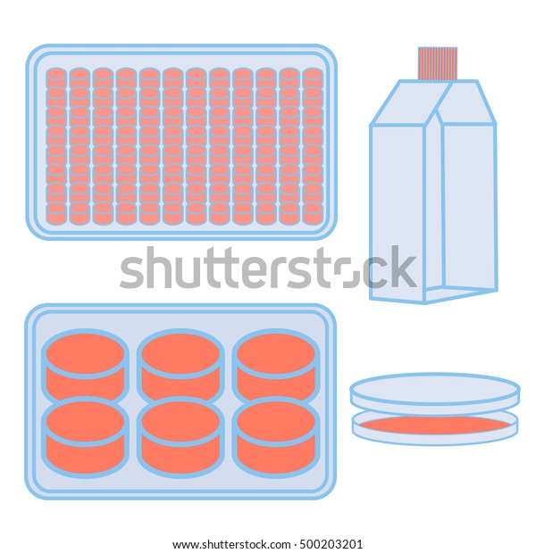 細胞培養用のフラスコと皿 自然科学の実験で使用される実験機器のベクターイラスト のベクター画像素材 ロイヤリティフリー