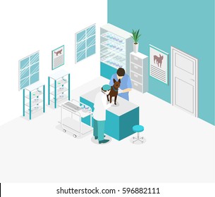 Flat 3D illustration Isometric interior of veterinary clinic. The veterinarian treats the pet