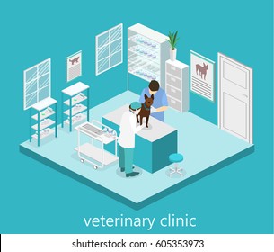 Flat 3D illustration Isometric interior of veterinary clinic. The veterinarian treats the pet