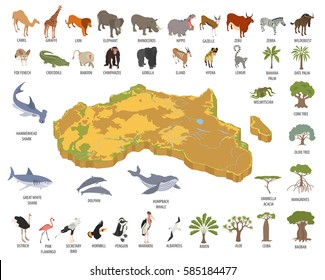 Flat 3d isometric Africa flora and fauna map constructor elements. Animals, birds and sea life isolated on white big set. Build your own geography infographics collection. Vector illustration