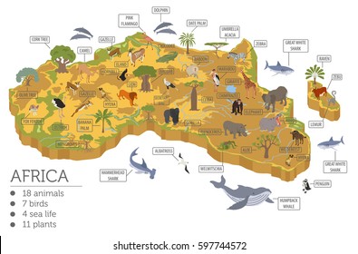 Flat 3d isometric Africa flora and fauna map constructor elements. Animals, birds and sea life isolated on white big set. Build your own geography infographics collection. Vector illustration
