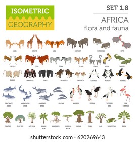 Flat 3d isometric Africa flora and fauna map constructor elements. Animals, birds and sea life isolated on white big set. Build your own geography infographics collection. Vector illustration