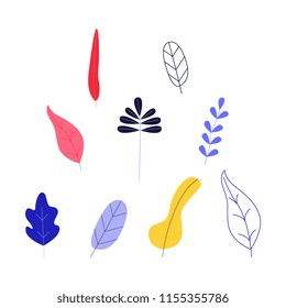 Flat abstract oak maple leaves set. Floral elements for summer, spring design. Hand drawn plants for decoration. Vector isolated illustration.
