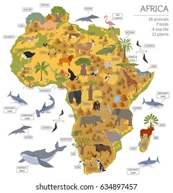 Flat Africa flora and fauna map constructor elements. Animals, birds and sea life isolated on white big set. Build your own geography infographics collection. Vector illustration