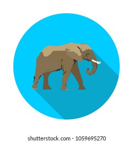 flat African elephant icon in vector format