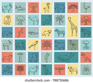 Flat African flora and fauna  elements. Animals, birds and sea life simple line icon set. Vector illustration
