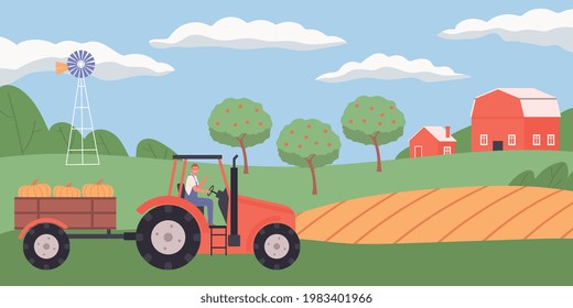 Flat agriculture background with farmer driving trailer and carrying harvested pumpkins in trailer vector illustration