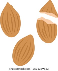 Flat almond nuts illustration collection