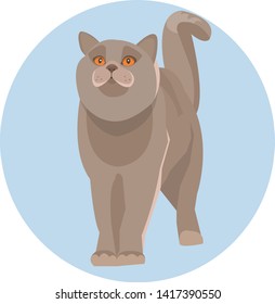 Flat animal. Cat in polygons on the blue circle.