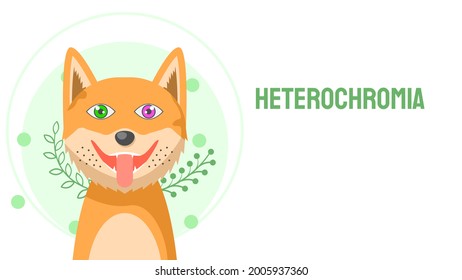 Mascota de perro plana sonriendo con lengua fuera con diferentes colores Enfermedad de los ojos Heterocromia Concepto Plantas verdes