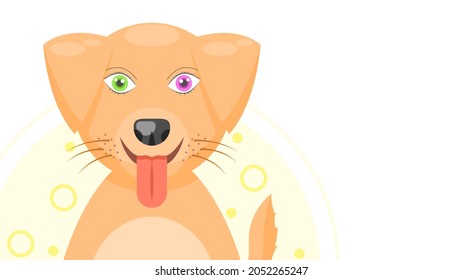 Mascota de perro plana sonriendo con lengua fuera con diferentes colores Enfermedad de los ojos Heterocromia Concepto