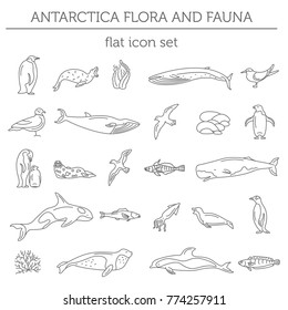 Flat Antarctica flora and fauna  elements. Animals, birds and sea life simple line icon set. Vector illustration