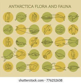 Flat Antarctica flora and fauna  elements. Animals, birds and sea life simple line icon set. Vector illustration