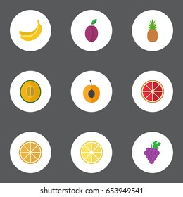 Flat Apricot, Lime, Citrus And Other Vector Elements. Set Of Dessert Flat Symbols Also Includes Muskmelon, Pineapple, Citrus Objects.