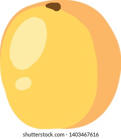 A flat apricot in yellow colour in round shape which is ripen , vector, color drawing or illustration.