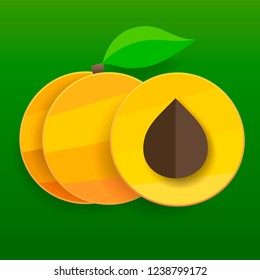 Flat apricots in section and whole with leaves. Vector illustration