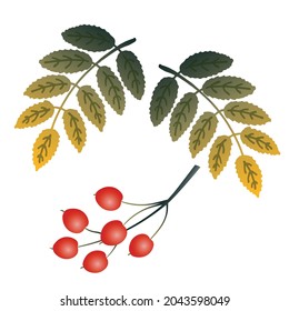 Flat art cluster of red berries and two twigs with Autumn green and yellow leaves isolated on a white background
