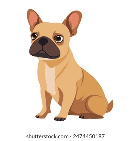 In the flat art, a French bulldog sits on a white background. Vector illustration