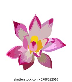 Arte plano Flora natural de flores de Lotus rosado en el dibujo vectorial de hoja gráficos