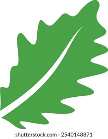 flat art style Wild Leaves