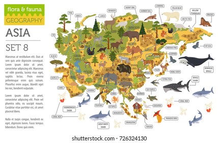 Flat Asian flora and fauna map constructor elements. Animals, birds and sea life isolated on white big set. Build your own geography infographics collection. Vector illustration