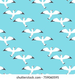 Flat atlantic sea birds seamless pattern background. Vector flat illustration. For your web design.