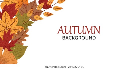Flat autumn banner with colorful fall leaves in the corner and white copy space. Seasonal vector background for posters, invitations, web, sales or Thanksgiving design.