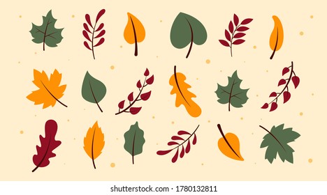 Flat autumn forest leaves collection vector