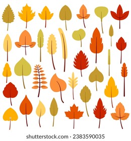 Flat autumn leaves clipart bundle